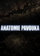 Film představuje vizi pochmurného města. Hlavní hrdina, Pan Pavouk je úředník pracující v obrovské kanceláři, dobrovolný otrok, člověk osamělý a ztracený v labyrintu ulic, chodeb a vlastní mysli nasáklé alkoholem. […]