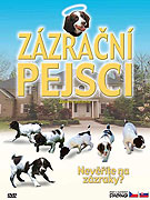 Americký rodinný film vypráví o věčném tématu vztahu člověka a psa. Tentokráte však nejde o psa obyčejného. Ačkoliv je hlavní hrdinka, fenka Annie, jen obyčejný nalezenec, dokáže neuvěřitelné věci. Právě […]