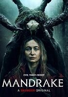 Mandrake