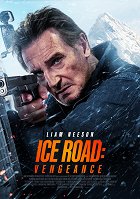 Mike (Liam Neeson) chce splnit poslední přání svého zesnulého bratra – rozptýlit