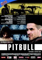 Pitbull
