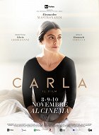 Carla Život na špičkách není jen potlesk a sláva, ale také dřina, odříkání a bolestná životní rozhodnutí… Životopis italské primabaleríny Carly Fracciové, jedné z největších baletek 20. století a ozdoby m…