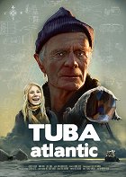 Transatlantická trouba