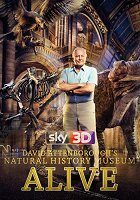 Charismatický Sir David Attenborough zavítá v tomto naučném filmu do Přírodopisného muzea v Londýne. Po jeho zavírací době nám za pomoci moderních CGI technologií představuje některé z jeho oblíbených…