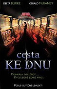 Cesta ke dnu Nevinné vhození několika mincí do hracího automatu se stalo pro Lauru Bancroftovou osudným. Film Cesta ke dnu, inspirovaný skutečnou událostí, je působivým a přesvědčivým příběhem jedné ženy, která pr…